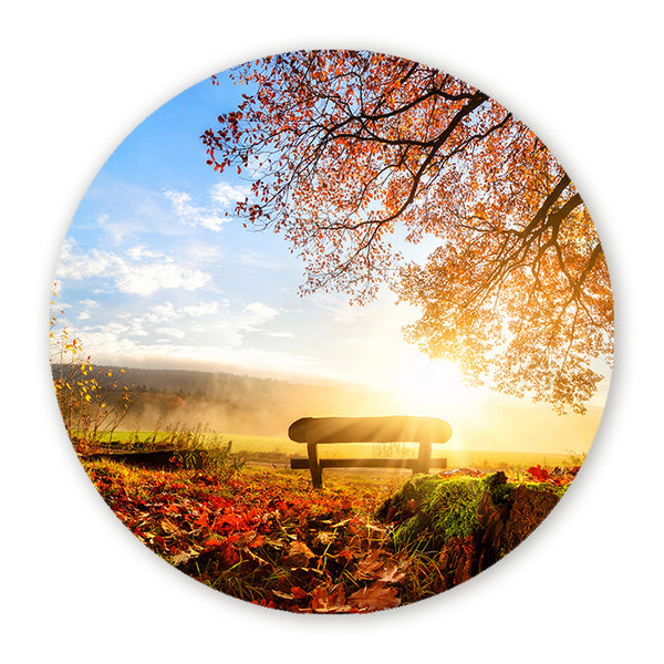 Muurcirkel met een houten bankje in een zonnig herfstlandschap met vallende bladeren en gouden ochtendmist