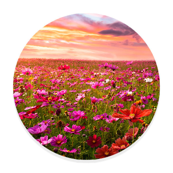 Muurcirkel Bloemenveld bij Zonsondergang