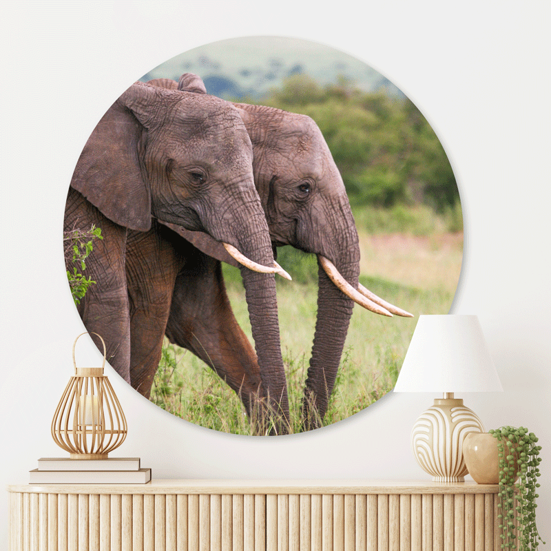 Muurcirkel Family Elephants