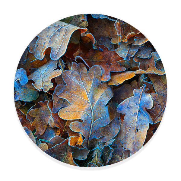 Muurcirkel Bladeren in Winterslaap