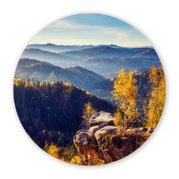 Muurcirkel Zonovergoten Vallei