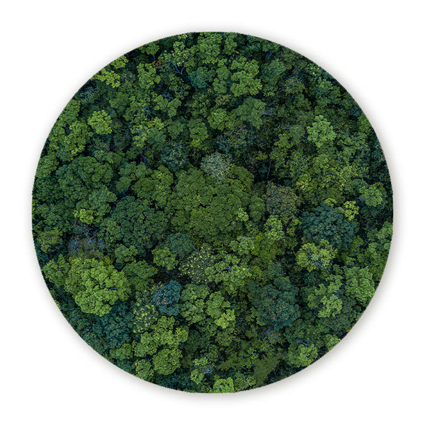 Muurcirkel Bos van Bovenaf