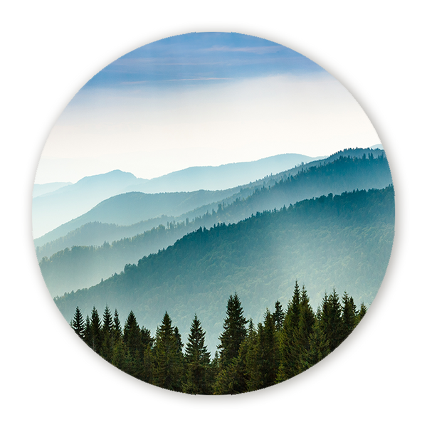 Muurcirkel Bergen in Ochtendnevel