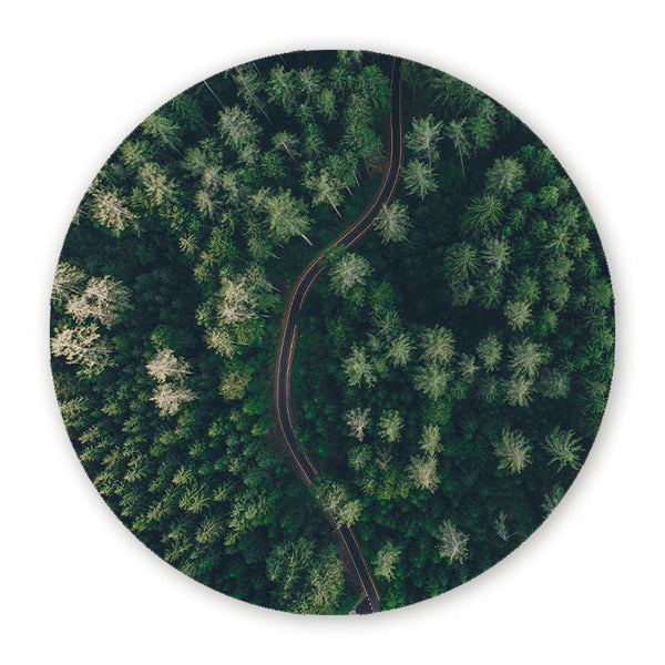 Muurcirkel Weg Door Het Bos Vanuit De Lucht