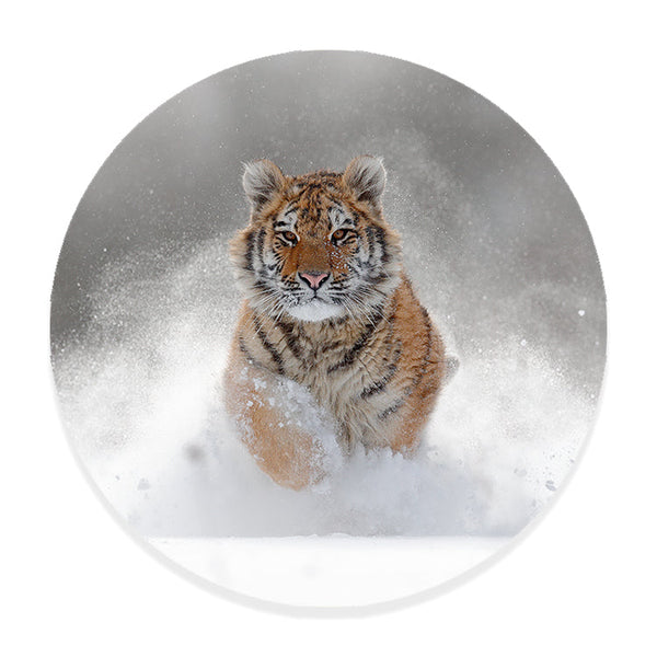 Muurcirkel Winterse Tijgerj