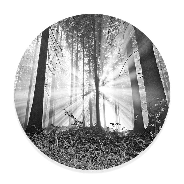 Muurcirkel Bosmagie bij Dageraad