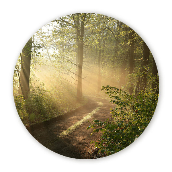 Muurcirkel met zonnestralen in een groen bos