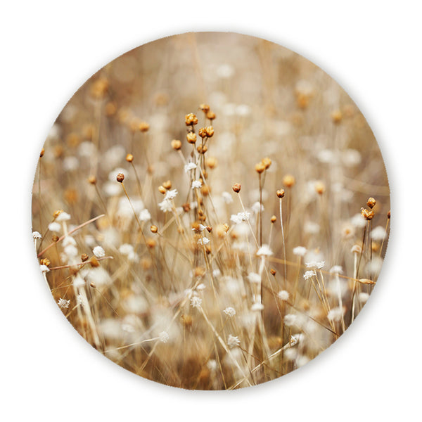 Muurcirkel met fijne droogbloemen en grassen in warme beige tinten