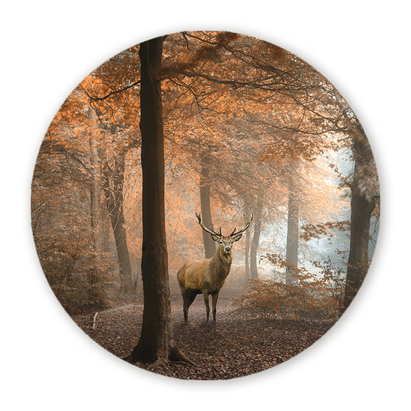 Muurcirkel met edelhert tussen de bomen in een sfeervol herfstbos