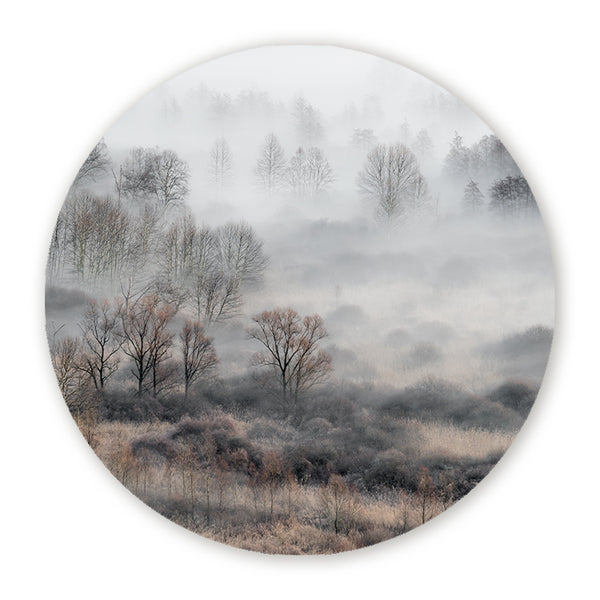 Muurcirkel met een mistig landschap en kale bomen in zachte grijstinten