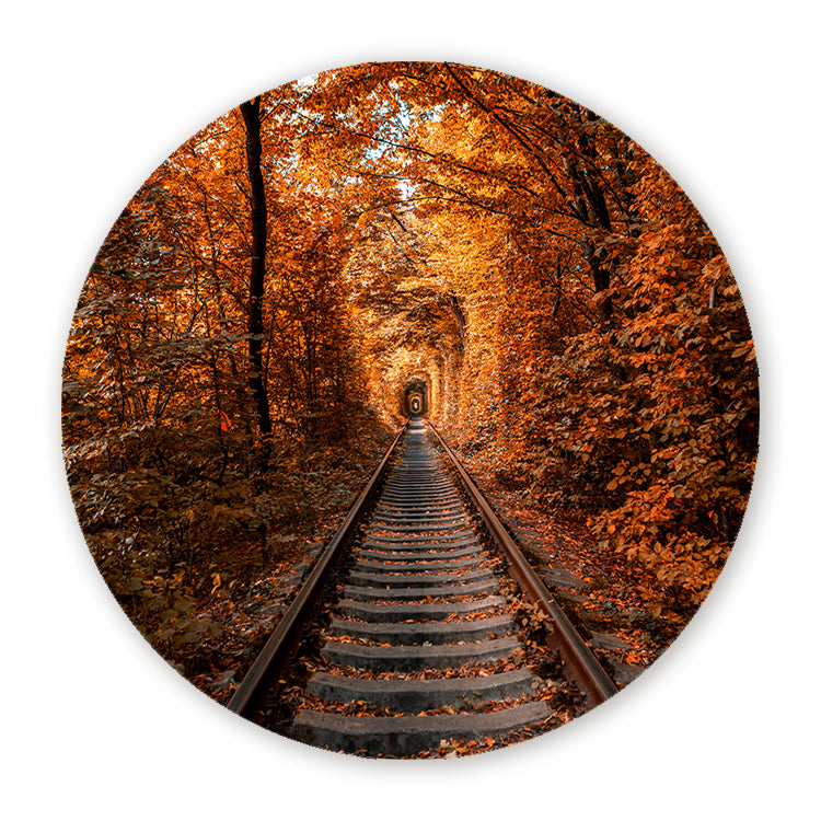 Muurcirkel met spoorlijn door een tunnel van oranje herfstbladeren