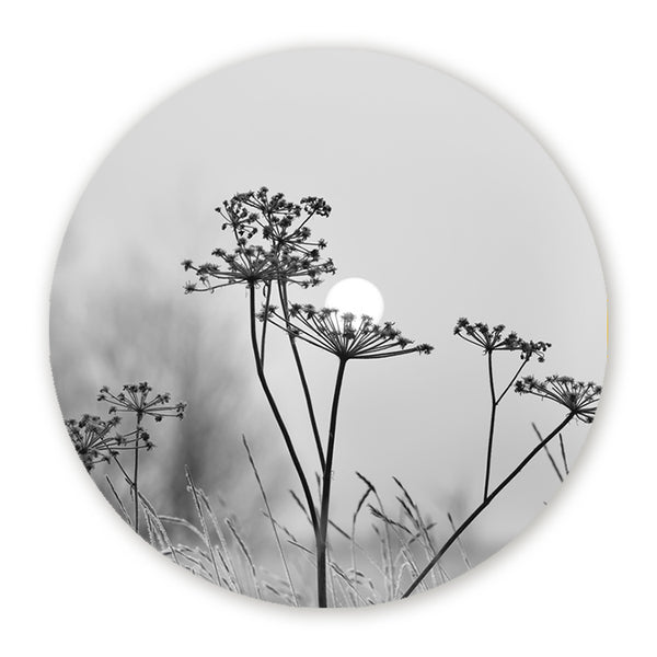 Zwart-witte muurcirkel met silhouetten van wilde bloemen en de zon op de achtergrond