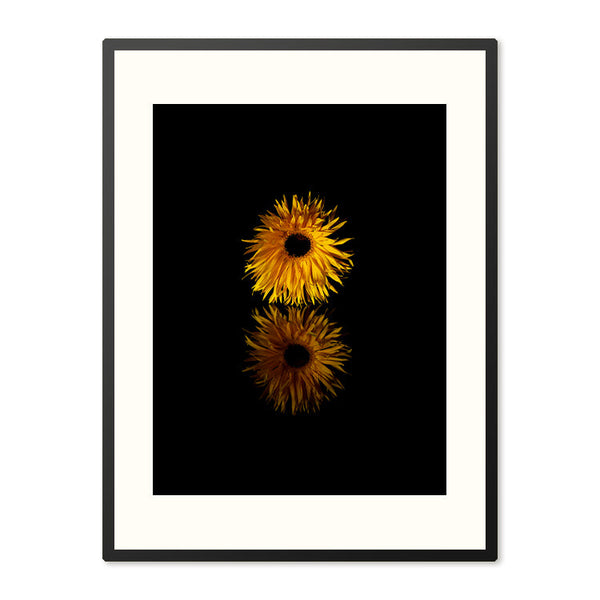 Poster in Lijst Zonnebloem