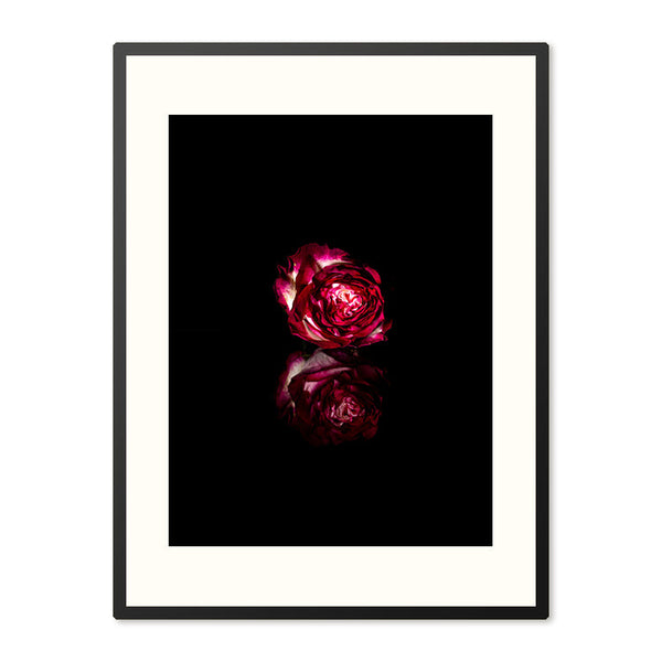 Poster in Lijst Rode Roos