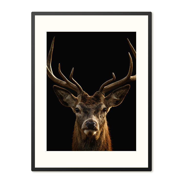 Poster in Lijst Edelhert – foto 4