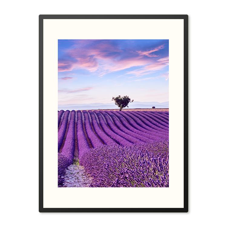 Poster in Lijst Lavendelveld in de Provence – foto 4