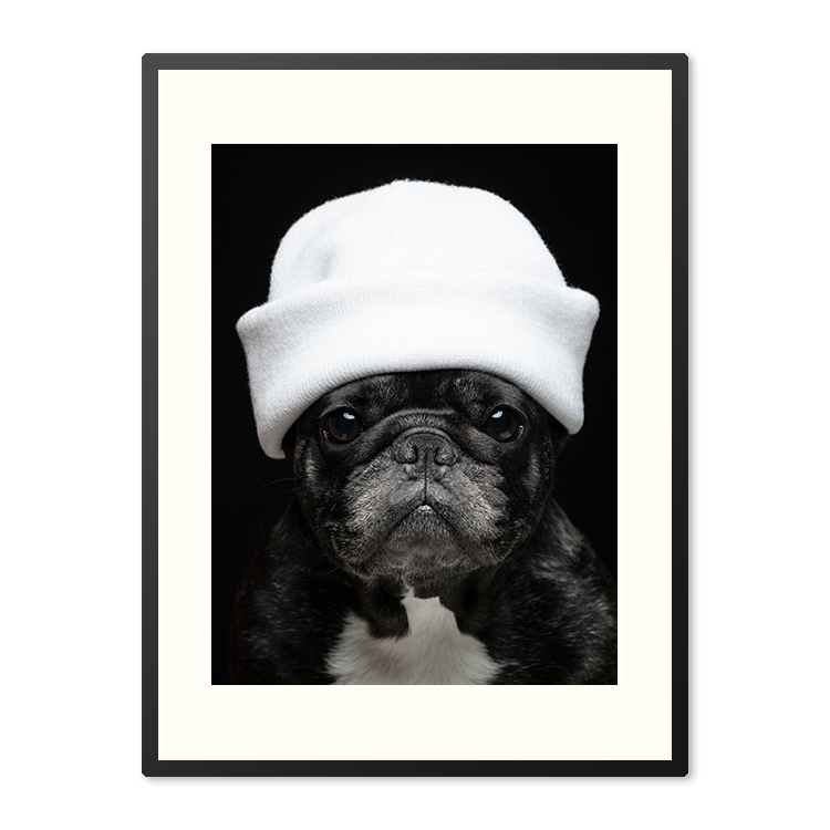 Poster in Lijst Elegante Bulldog – foto 4