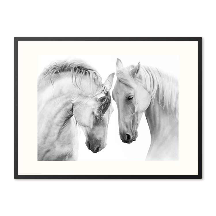 Poster in Lijst Witte Paarden