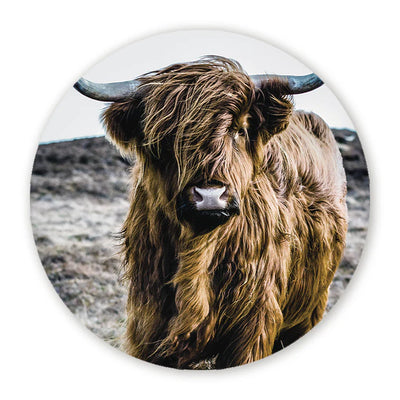 Ronde Schilderijen Schotse Hooglanders