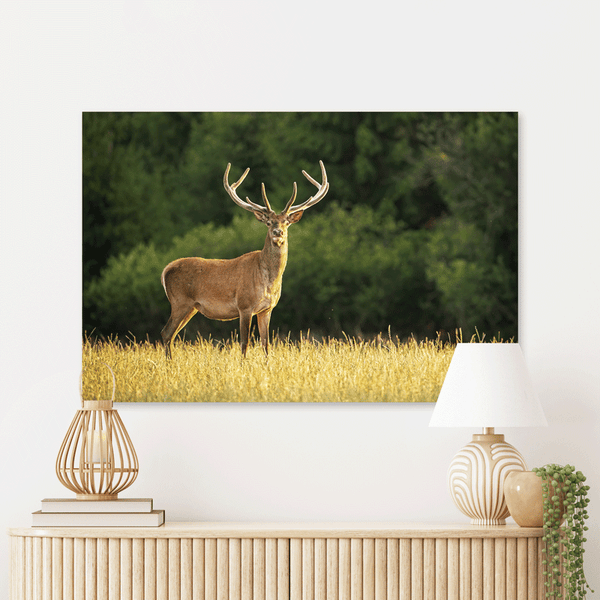 Schilderij Hert in de Zon
