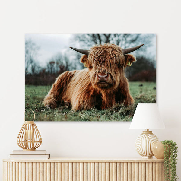 Schilderij Hooglander in Rust