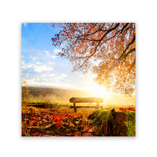 Schilderij Bankje in Herfstlandschap