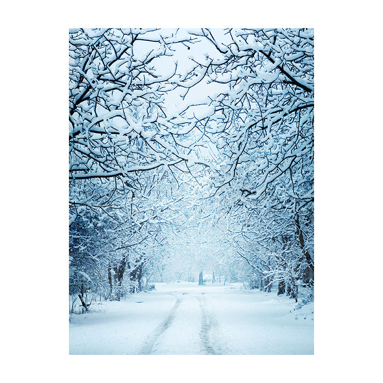 Schilderij Besneeuwde Winterlaan