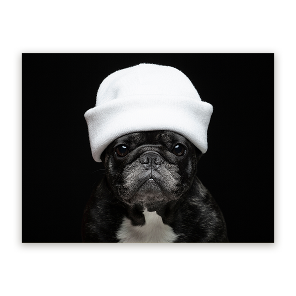Schilderij Elegante Bulldog