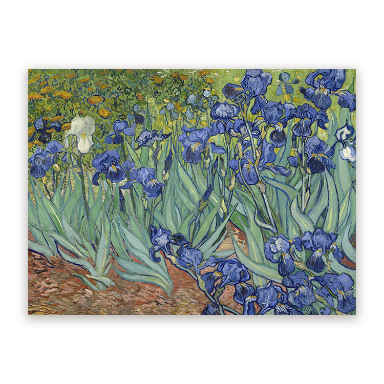 Schilderij Irissen
