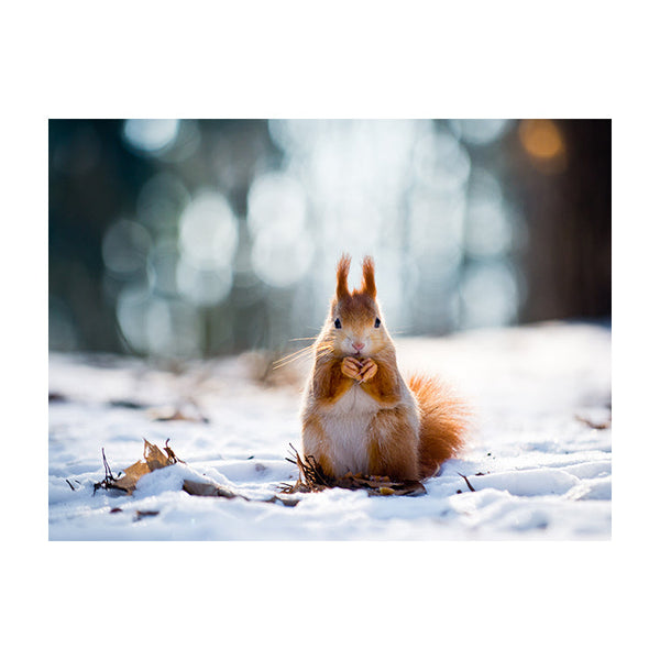 Schilderij Notenfeest in de Sneeuw