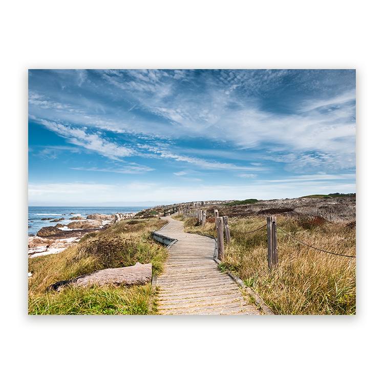Schilderij Pacific Grove – foto 4