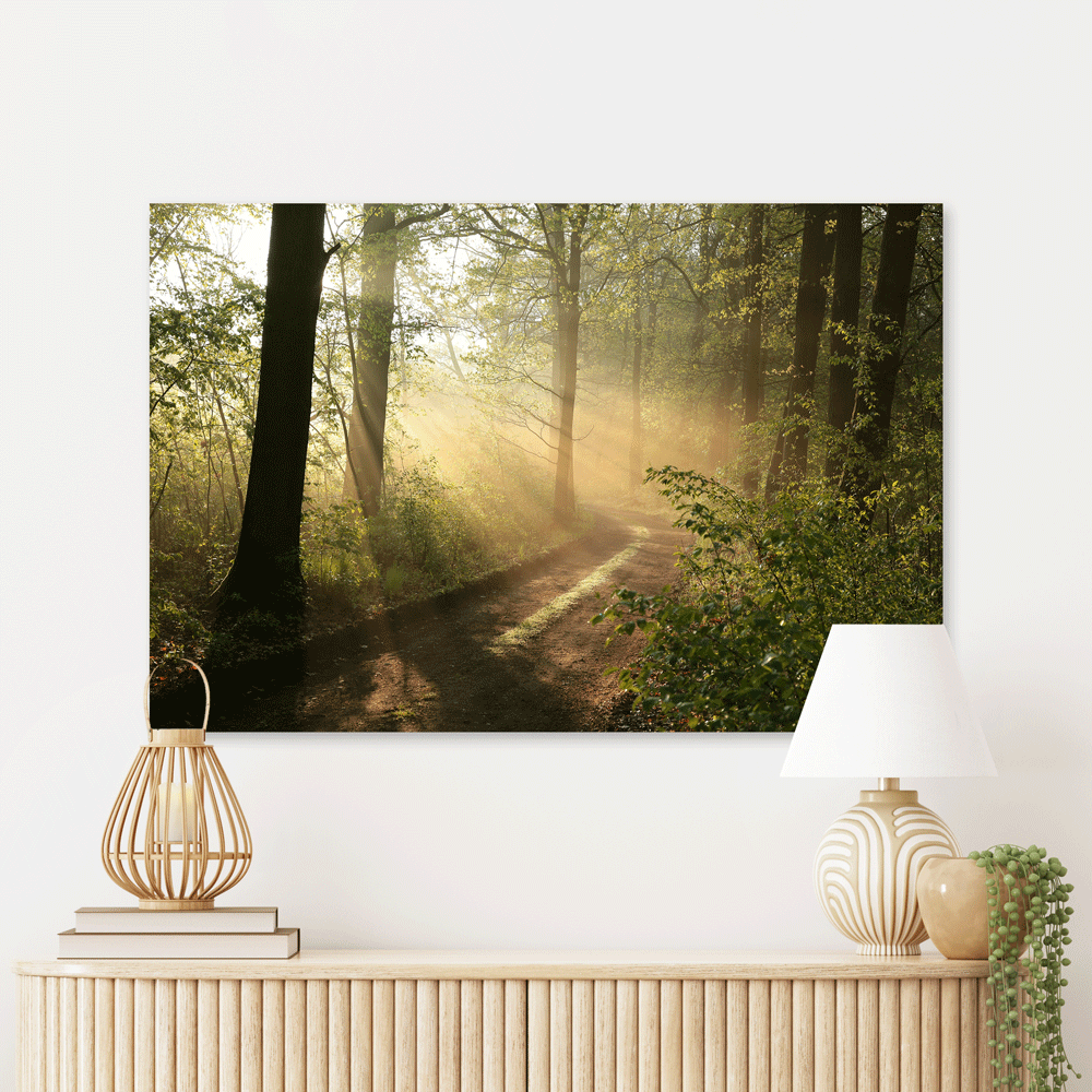 Schilderij Bospad met Zonnestralen