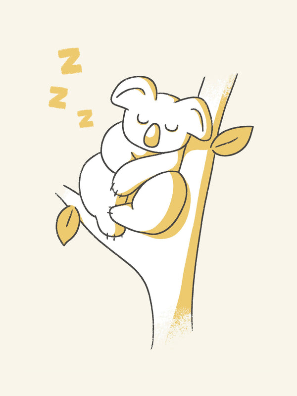 Schilderij Slapende Koala