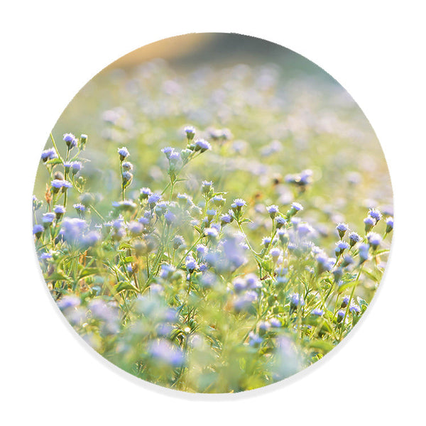 Muurcirkel Blauwe Weidepracht