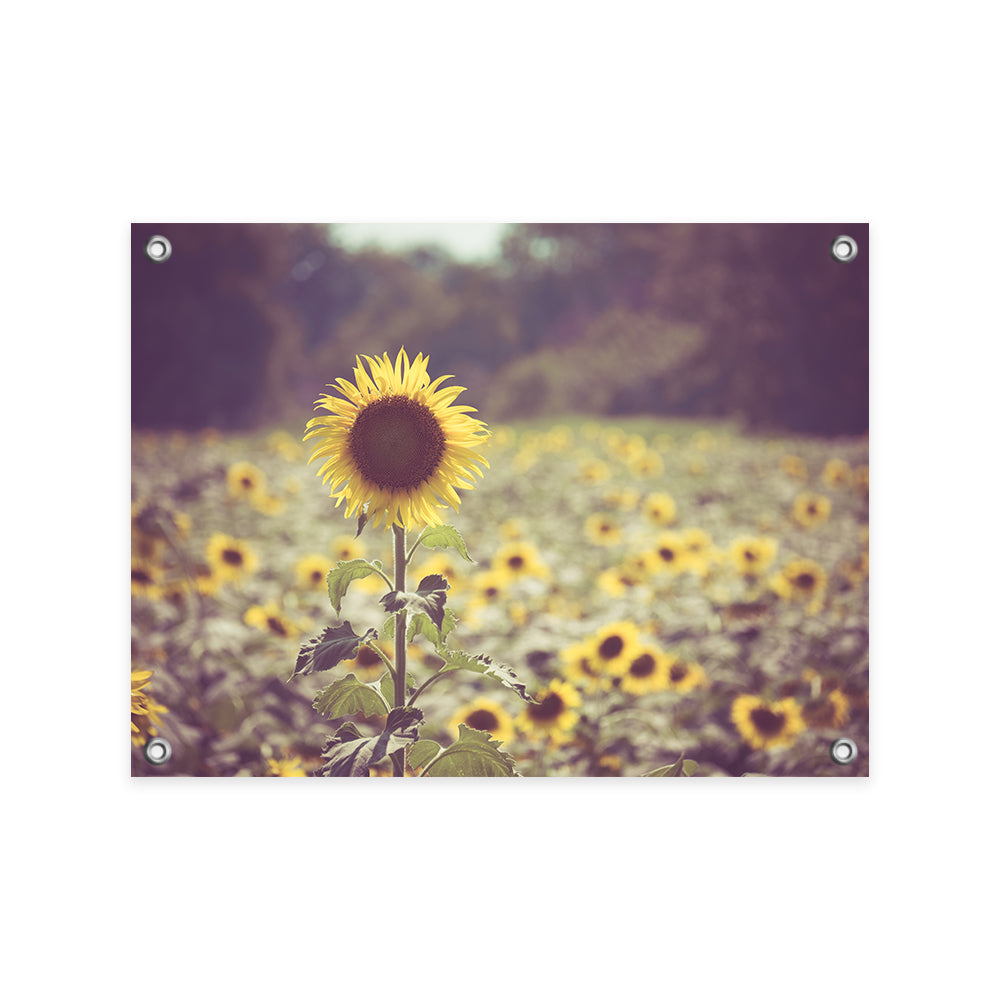 Tuinposter Retro Zonnebloem