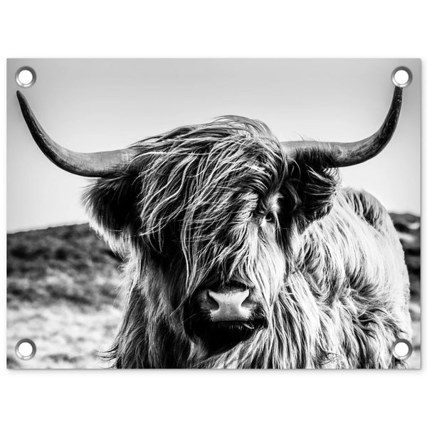 Tuinposter Schotse Hooglander Zwart Wit