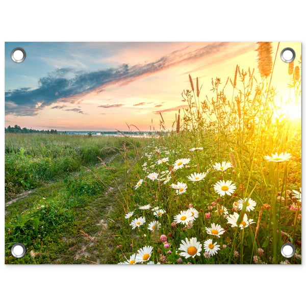 Tuinposter Zonsopgang in de Vroege Ochtend