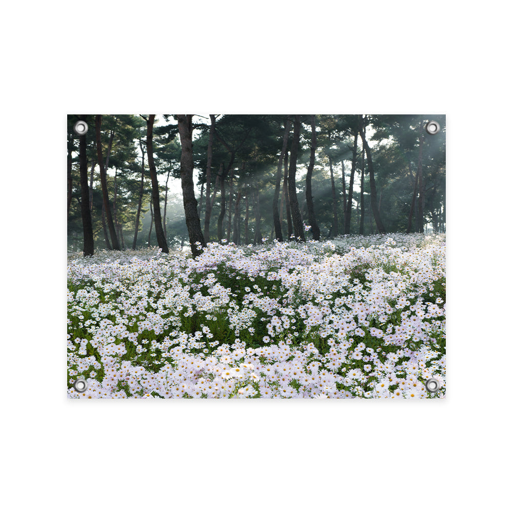 Tuinposter - Madeliefjes aan de Bosrand