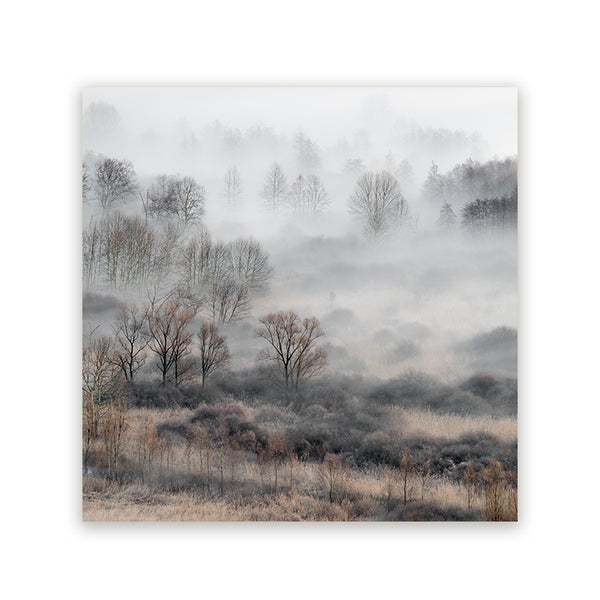 Vierkant schilderij met een mistig landschap en kale bomen in zachte grijstinten