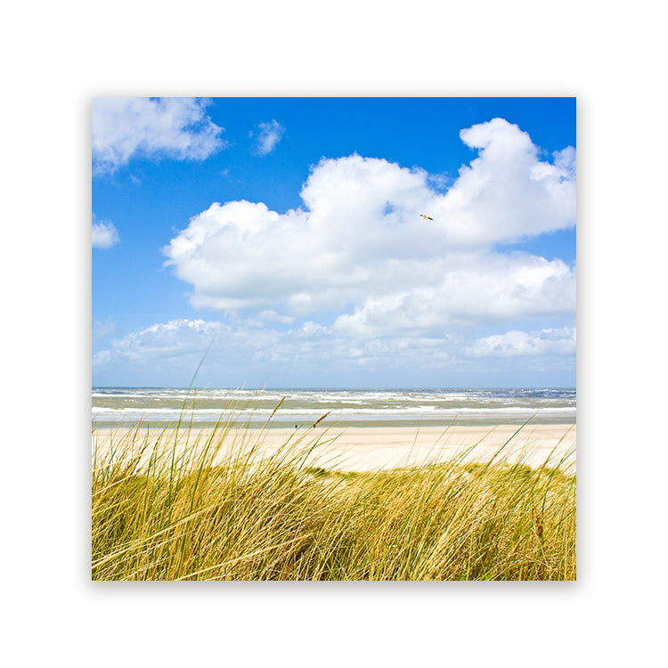 Vierkant schilderij met strand, duingras, zee en helderblauwe wolkenlucht