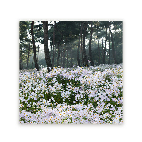 Vierkant schilderij met witte bloemen in een groen dennenbos