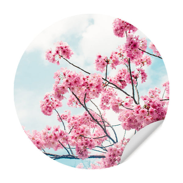 Zelfklevende Muursticker - Kersenbloem in de Lente - Ronde Muursticker