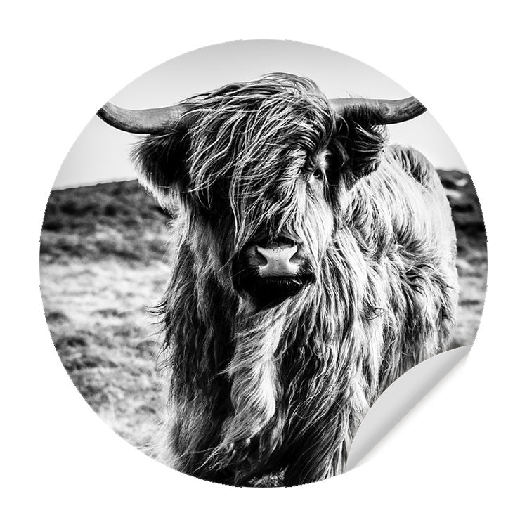 Zelfklevende Muursticker - Schotse Hooglander Zwart-Wit - Ronde Muursticker