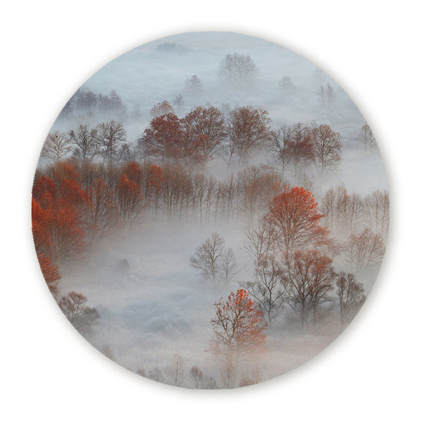 Muurcirkel met mistig herfstlandschap en bomen in zachte roodoranje tinten
