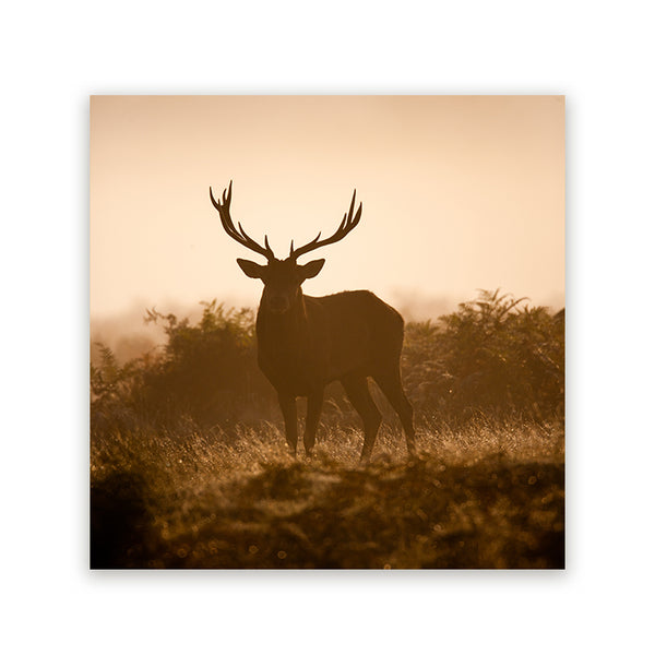 Schilderij van een hert in silhouet in gouden ochtendmist op een veld met warme zonsopkomst