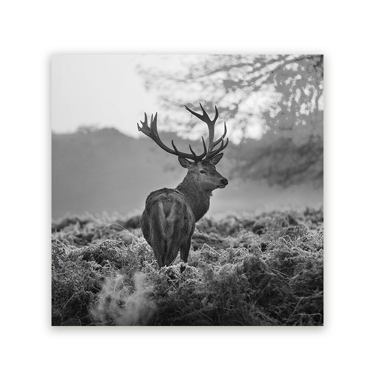 Schilderij met zwart-wit foto van een hert in een mistig landschap