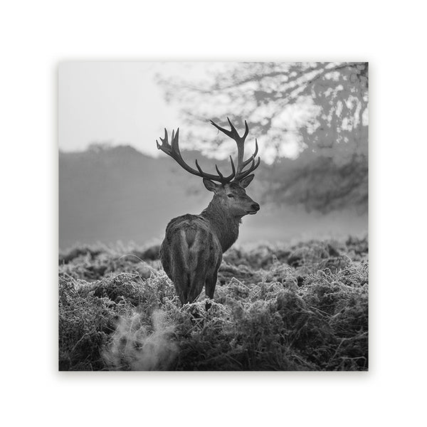 Schilderij met zwart-wit foto van een hert in een mistig landschap