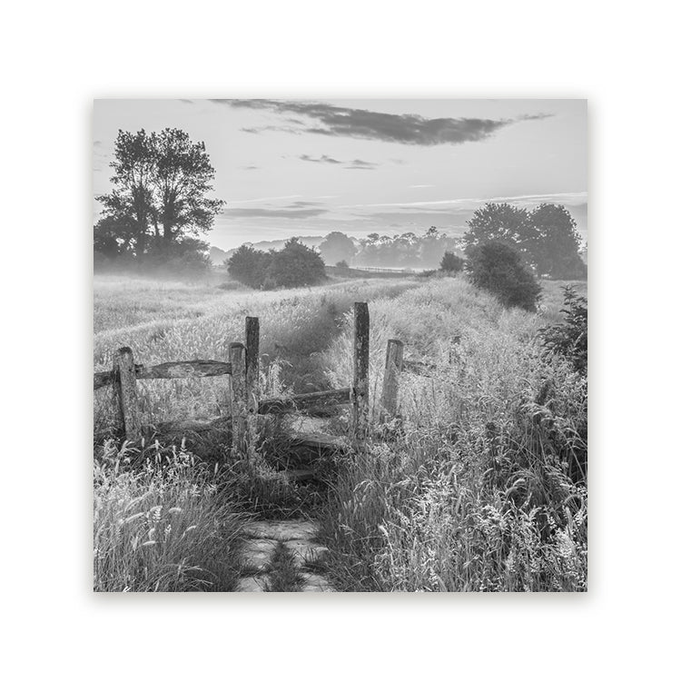 Zwart-wit schilderij van een landelijk landschap met houten bruggetje, hoge grassen en ochtendmist