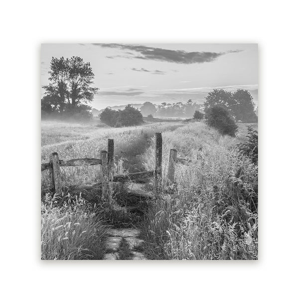 Zwart-wit schilderij van een landelijk landschap met houten bruggetje, hoge grassen en ochtendmist